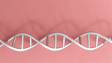 Genetic Tests That Show A Predisposition For Infertility Geneway Dna