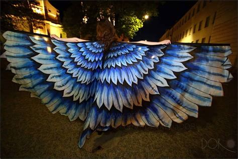 Night bird production vous accompagne de a à z dans la création de votre vidéo. Night bird wings | Silk dancing, Bird wings, Wings