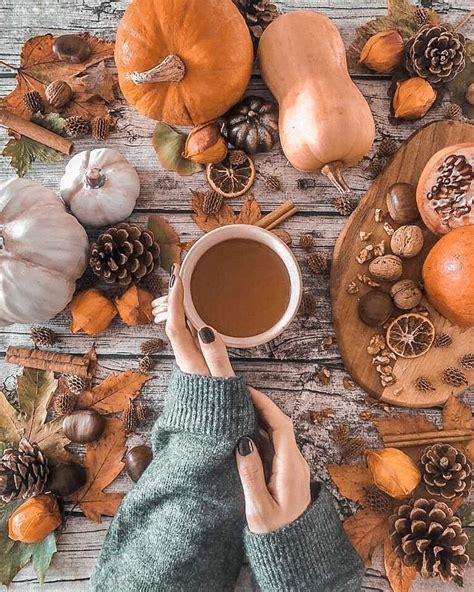 Pumpkins And Coffee For Fall Autumn Cozy Autumn Aesthetic Fall Feels