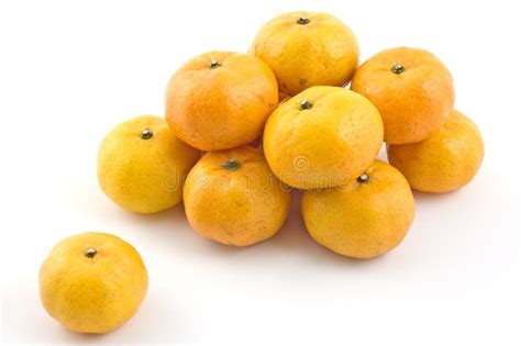 Mini Mandarin Oranges Stock Image Image Of Orange Healthy 17124837