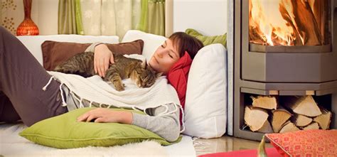 Faire garder son chat est, en effet, l'une des problématiques auxquelles tout propriétaire est confronté à un moment ou un autre. Comment faire garder son chat lors du départ en vacances?