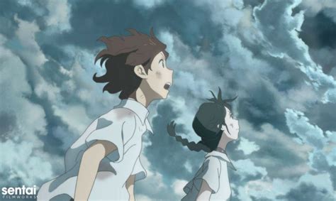 Sentai Filmworks Licenses Studio Colorido's “Typhoon Noruda” Anime by