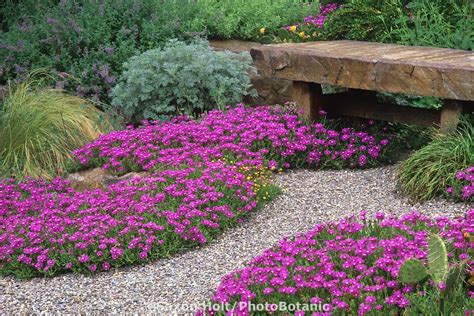 These unthirsty succulents, flowers, and grasses will thrive with little care or water—even on. Chanticleer drought tolerant garden using gravel path with ...