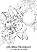 Florida State Seal coloring page | Free Printable Coloring ...
