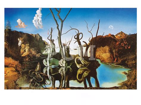 Salvador Dali Reflections Of Elephants Sd 01 Poster Galerie München