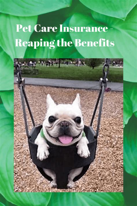 Many people get pet insurance for unexpected bills, because they don't want to be financially unable to provide. Pet Care Insurance - Reaping the Benefits - Pets Care Tips