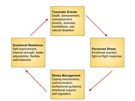 What Is Emotional Resilience And How To Build It Training Exercises