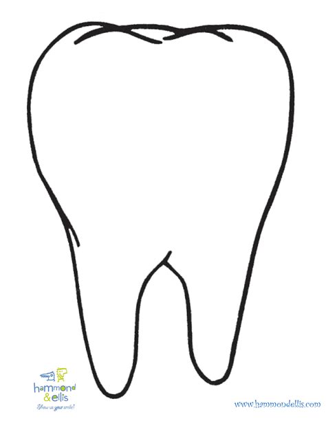 Drawing Of A Tooth Free Download On Clipartmag
