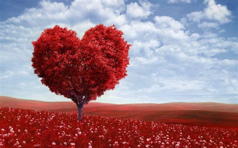 All our free stock photos are shared by a community of generous photographers and travelers and we all are very happy when we can see our pictures being used on. Free Valentine Love Tree computer desktop wallpaper ...