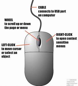 56 Best Science Y Awesomeness Images On Pinterest Double Helix