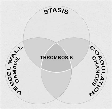 Bullet All Three Components Of Virchows Triad Eg Venous Stasis
