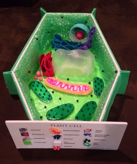 Animal cell model | great way for students to learn about the different parts of a cell through creating, labeling, writing, and presenting to the class. How to Create 3D Plant Cell and Animal Cell Models for ...