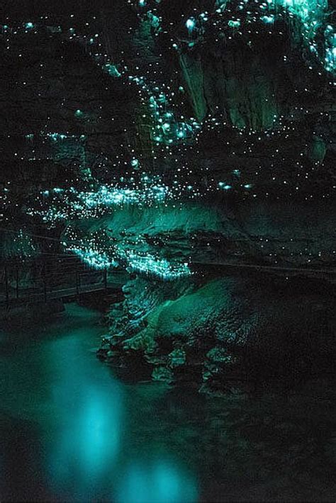 Glow Worm Caves In New Zealand Amazing Nature Glow Worm Cave Scenery