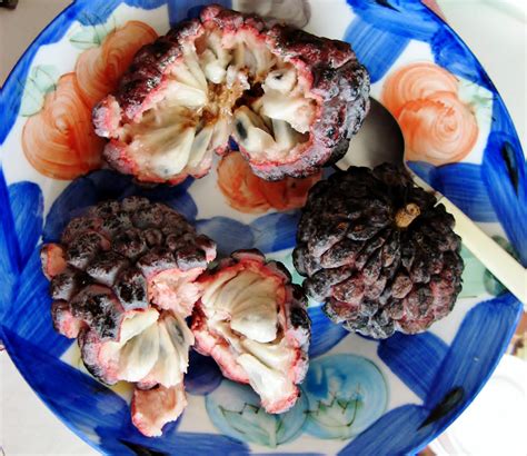 Kalau buah nona sepertinya ada, tapi saya ga tau. UMI & TSURU: Buah Nona