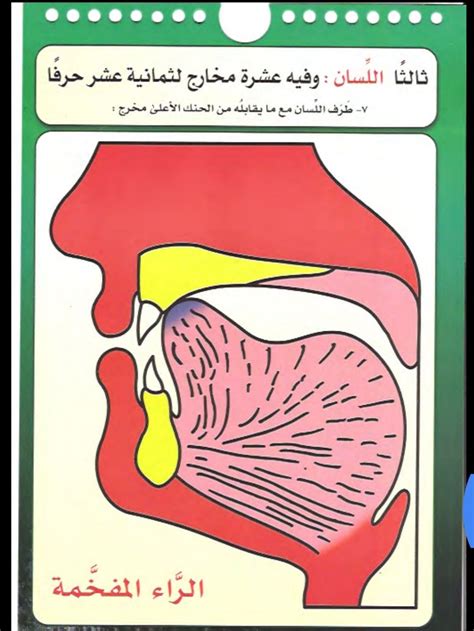 We did not find results for: #مخرج الراء المفخمة | Learn quran, Islamic messages ...