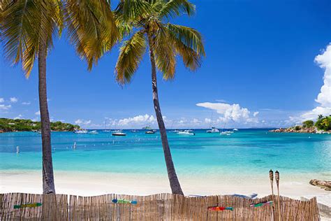 Honeymoon Beach Usvi Stock Photos Pictures And Royalty Free Images Istock