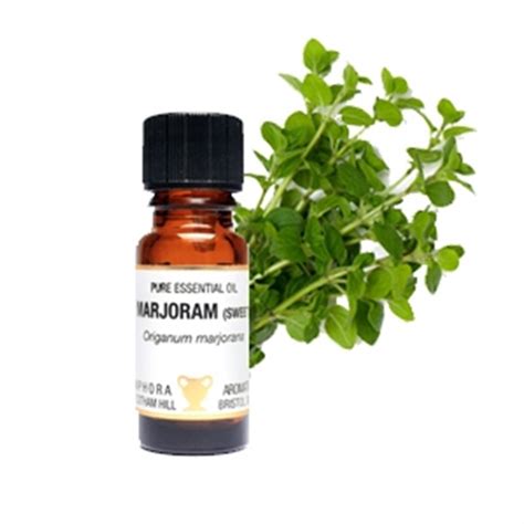 Pure Essential Oil Marjoram Sweet Origanum Marjorana Spr1644