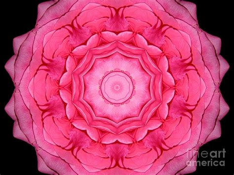 Pink Rose Bouquet Kaleidoscope Photograph By Rose Santuci Sofranko