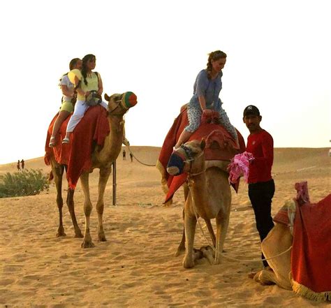 To enjoy a camel ride, it is what types of clothes you should wear for a camel trekking in dubai? No.1 Desert Safari, Sightseeing & Dhow Cruise Dinner Deals ...