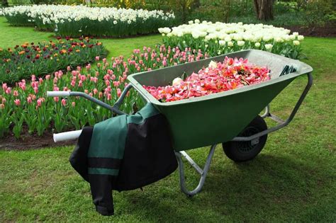 Best Wheelbarrow For Gardening 2023 Top Picks