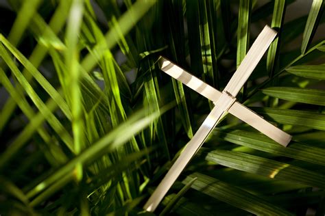 I searched for this on bing.com/images. Palm Sunday: Welcome Jesus