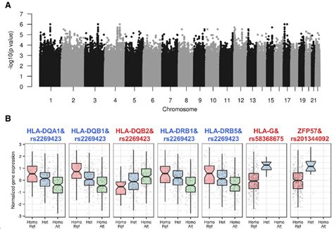 Identification of trans-regulatory hotspots associated with DD... | Download Scientific Diagram