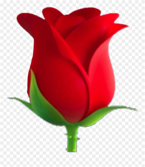 Rose Emoji Clipart 10 Free Cliparts Download Images On Clipground 2023