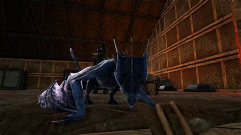 The crystal wyverns are all docile, but the heirs are highly aggressive. Ark Survival Evolved: How To Tame A Wyvern | IndieObscura