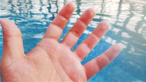 Why Do Our Hands Get Wrinkly In Water Things To Know