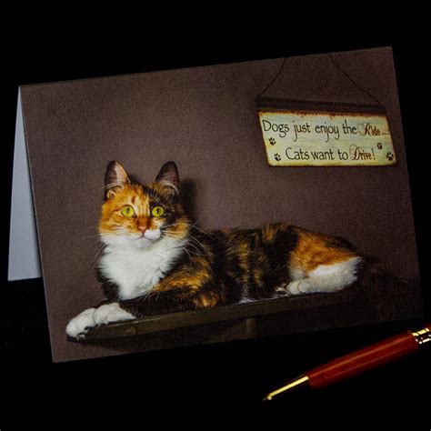 Calico Cat Photo Greeting Card Happy Birthday Anniversary Etsy Italia