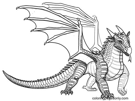 Baby Nightwing Dragon Coloring Page Free Printable Coloring Pages Images And Photos Finder