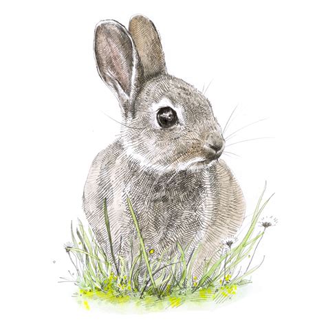 Applique pdf template pattern only easter bunny feet.new. Best rabbit printable | Derrick Website