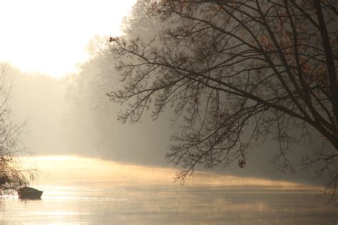 Free Images Tree Nature Branch Snow Winter Sun Fog Sunrise