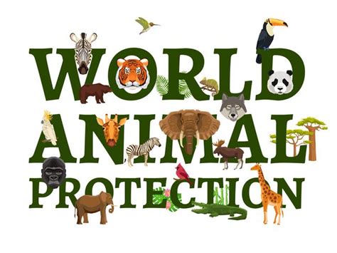 Wild Animal Protection Illustration 477885 Vector Art At Vecteezy