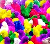 Ayam warna warni ketika masih kecil warnanya imut setelah besar warnanya berubah. papaNanda™ : kaos plesetan balita lucu-lucu, desain ...
