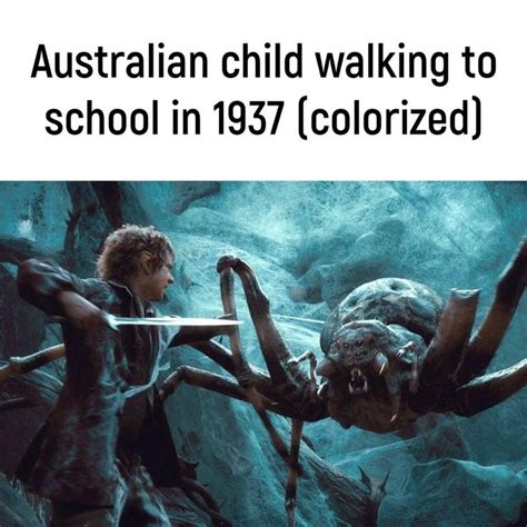 Delightfully Aussie Memes For Your Down Under Dreams Memebase