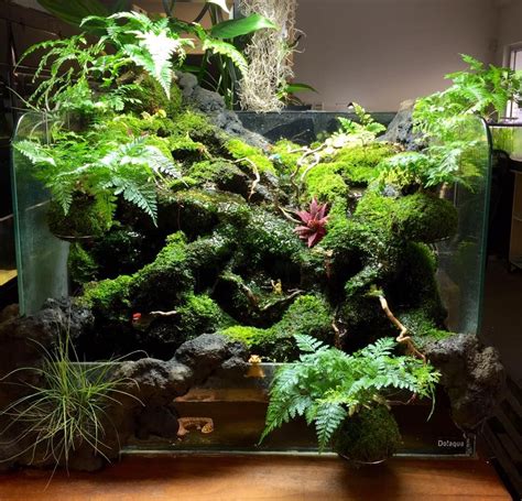 Check out our waterfall terrarium selection for the very best in unique or custom, handmade pieces from our shops. Do!Aqua 60-P waterfall from Jojo Raquel. Nice Hardscape ...