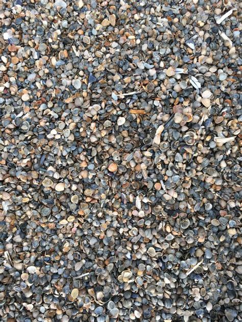 Free Images Beach Sea Water Sand Rock Asphalt Summer Pebble