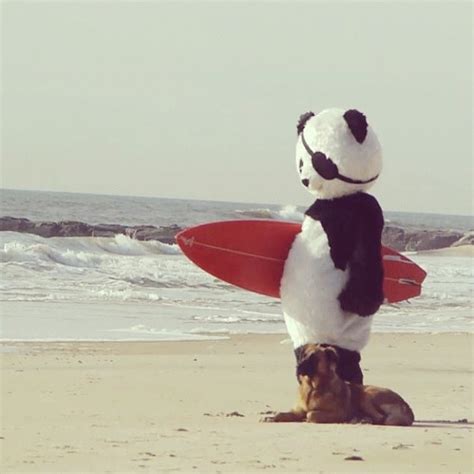 Panda Surfing Панда Разное