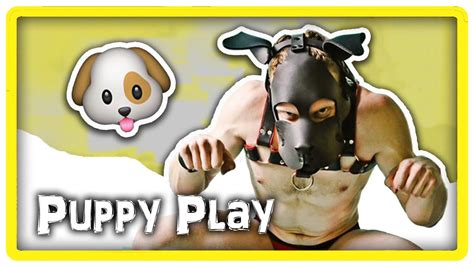 Puppy Play Intro Youtube