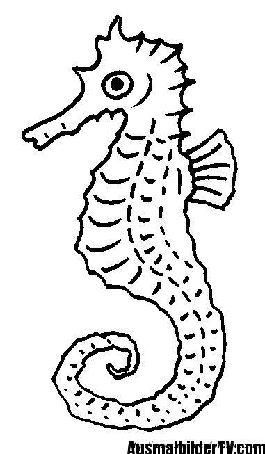 We did not find results for: seepferdchen malvorlage | Ausmalbilder, Seepferdchen ...
