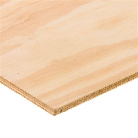 Bc Sanded Plywood Common 732 In X 2 Ft X 2 Ft Actual 0219 In
