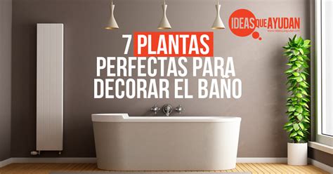 Decoración de baños modernos pequeños con toques naturales. 7 plantas perfectas para decorar el baño - Ideas Que Ayudan