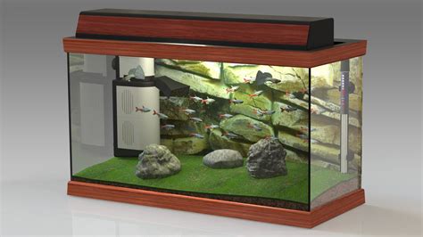 Tropical Aquarium 3d Model By Pictorer
