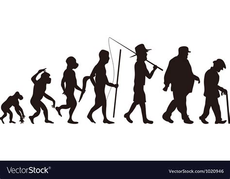 Human Evolution Royalty Free Vector Image Vectorstock