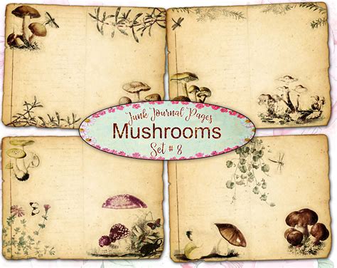 Mushrooms Junk Journal Pages Set 8 Pack Of 4 Old Print Etsy