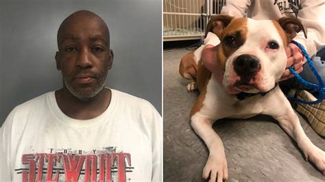 As tv 10/55 long island bureau chief richard rose reported, the puppies were all eager to head to a loving home. Man accused of choking, beating dog at McDonald's on Long ...
