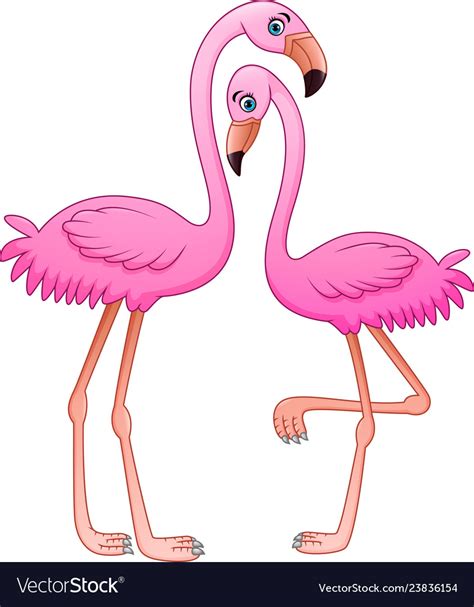 Cartoon Two Pink Flamingo On White Background Vector Image