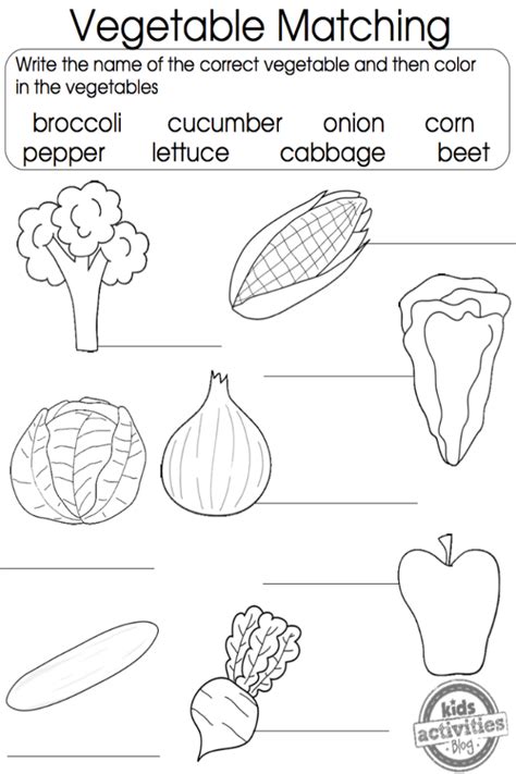 Fruits coloring pages for kindergarten pdf free counting fruits. Printable {Matching Game} Vegetable Coloring Pages ...