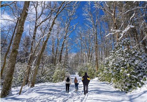 Plan The Perfect North Carolina Winter Vacation Yonder Luxury